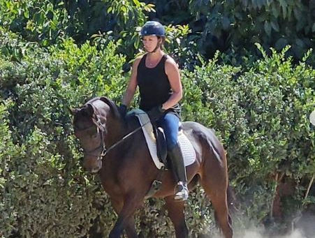Can My Thoroughbred Do Dressage?