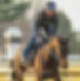 John Baker Thoroughbred Horse Trainer Brisset Racing Kentucky