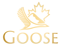 goose-mechanical-png.png