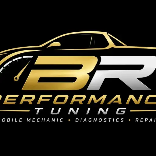 Professional vehicle diagnostics