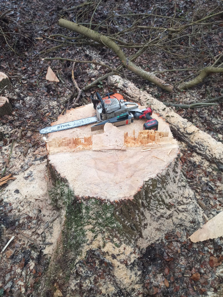 WhatsApp Image 2022-01-23 at 17.22.04.jpeg