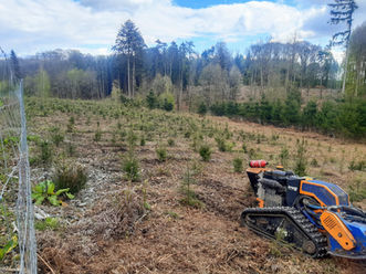 WhatsApp Image 2023-05-29 at 11.16.41.jpeg