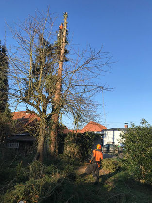 WhatsApp Image 2022-01-23 at 17.22.06 (2).jpeg