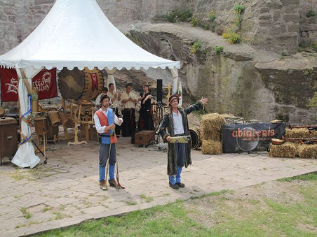 Das Mittelalterfest 2014