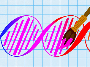 LSR Graphics_Painting with Genes_Karina Stakh '27.png