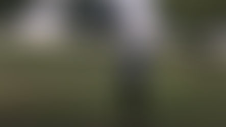 Seven Years of Plenty