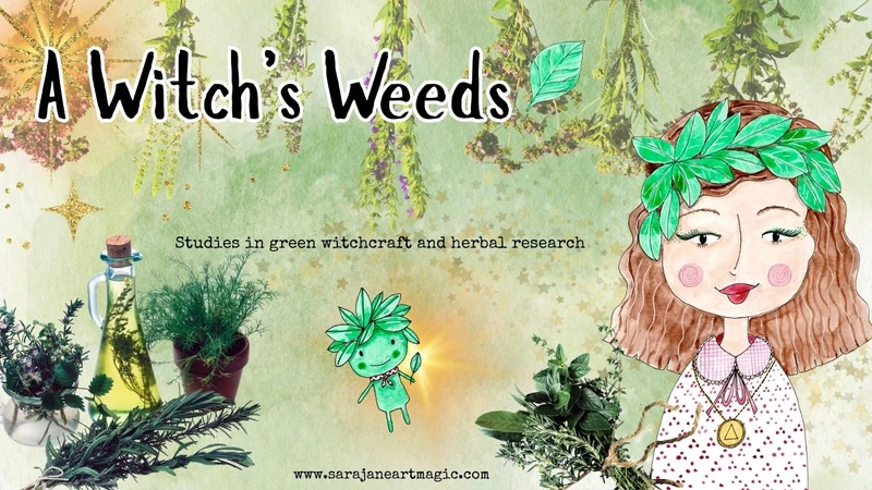 A Witch's Weeds herbal research course banner