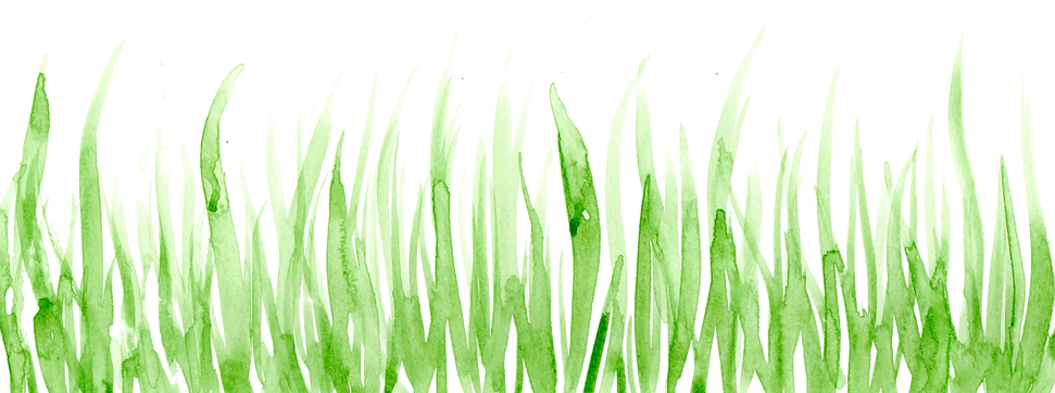 grass border