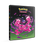 Thumbnail: Pokémon Shrouded Fable 9-Pocket Portfolio