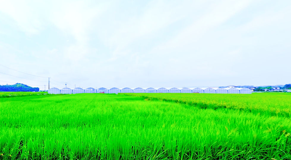 アスク画1 (1)_edited.jpg