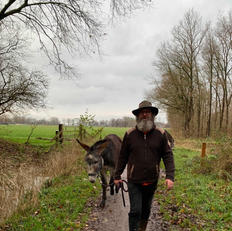 Koert