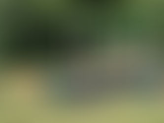 Case Study: Priory Common School – KS2 Climbing and Fitness Zone Installation, Milton Keynes