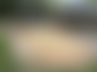 EYFS Playground Design