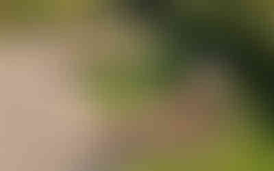 EYFS Playground design