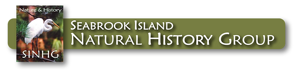 NAME LOGO.png
