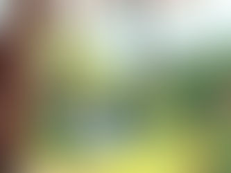 Time to Select Your Spring 2026 Trips!