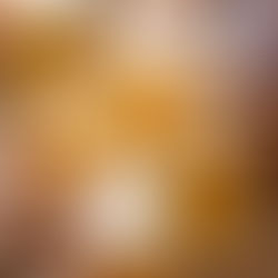 Like beer? Join the Oktoberfest Beer Tasting at CityGate Grille