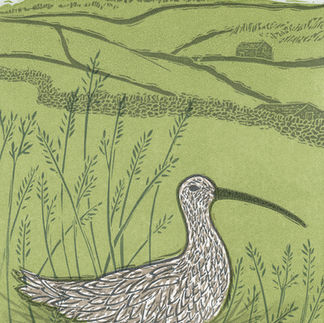 Nesting Curlew Yorkshire Dales art for sale
