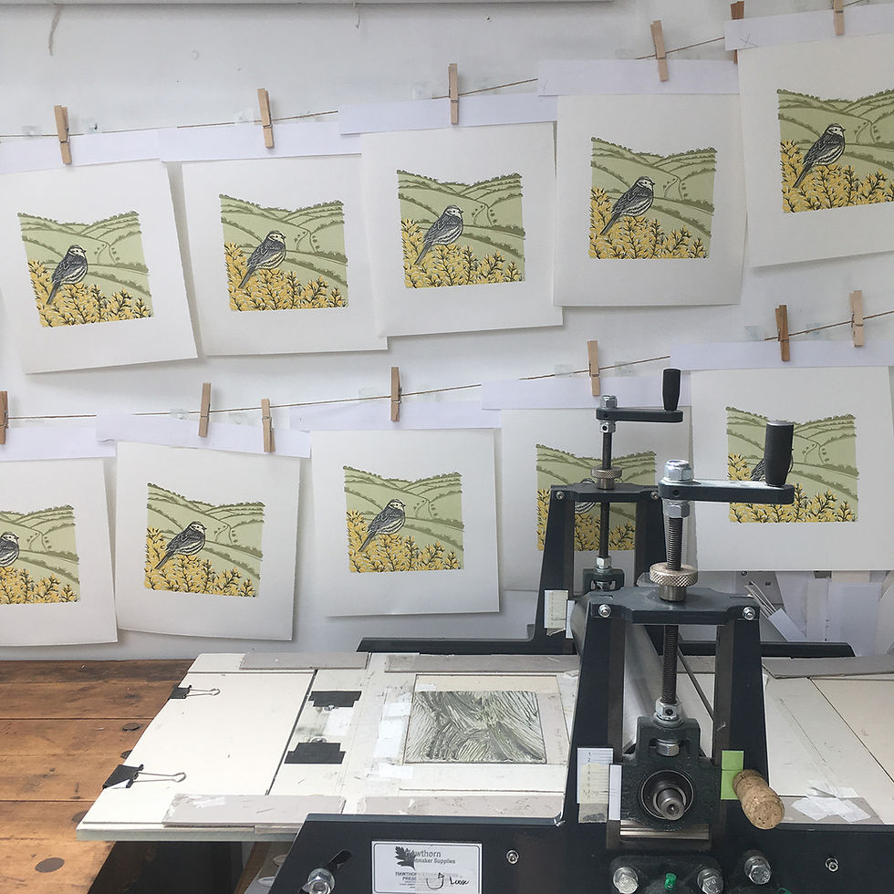 Thumbnail: Yellow Hammer, original linocut print