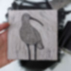 Curlew original linocut print