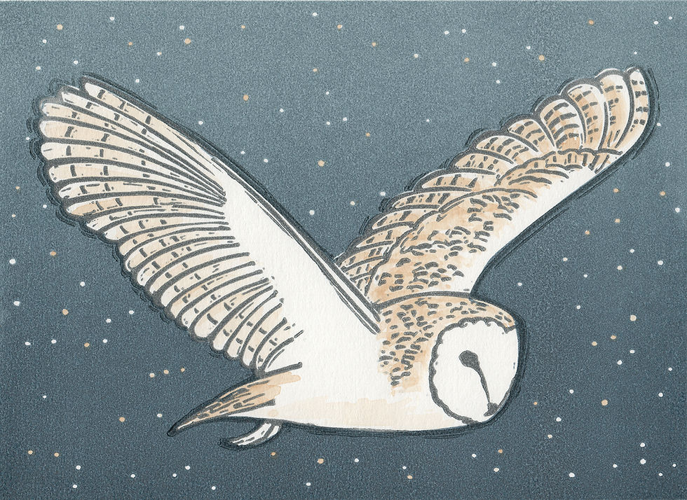 Barn owl in flight original linocut print