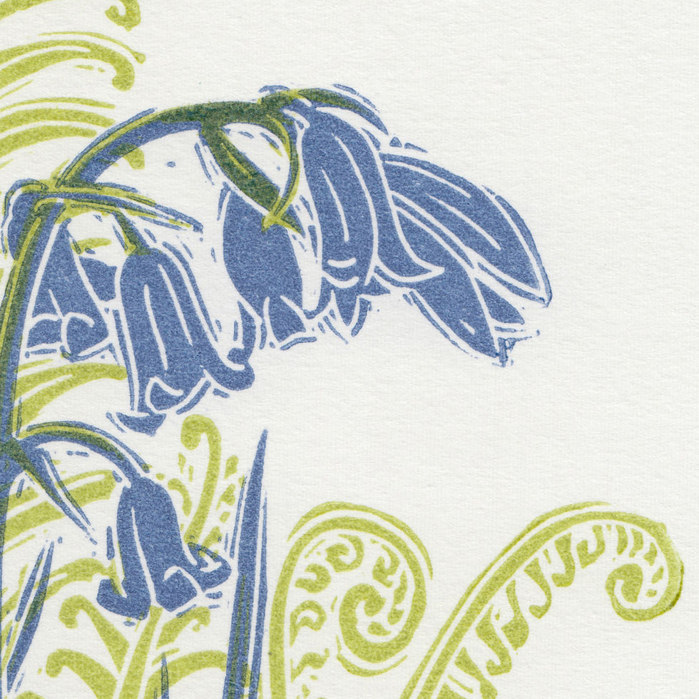 Thumbnail: Bluebells and ferns woodland lino print