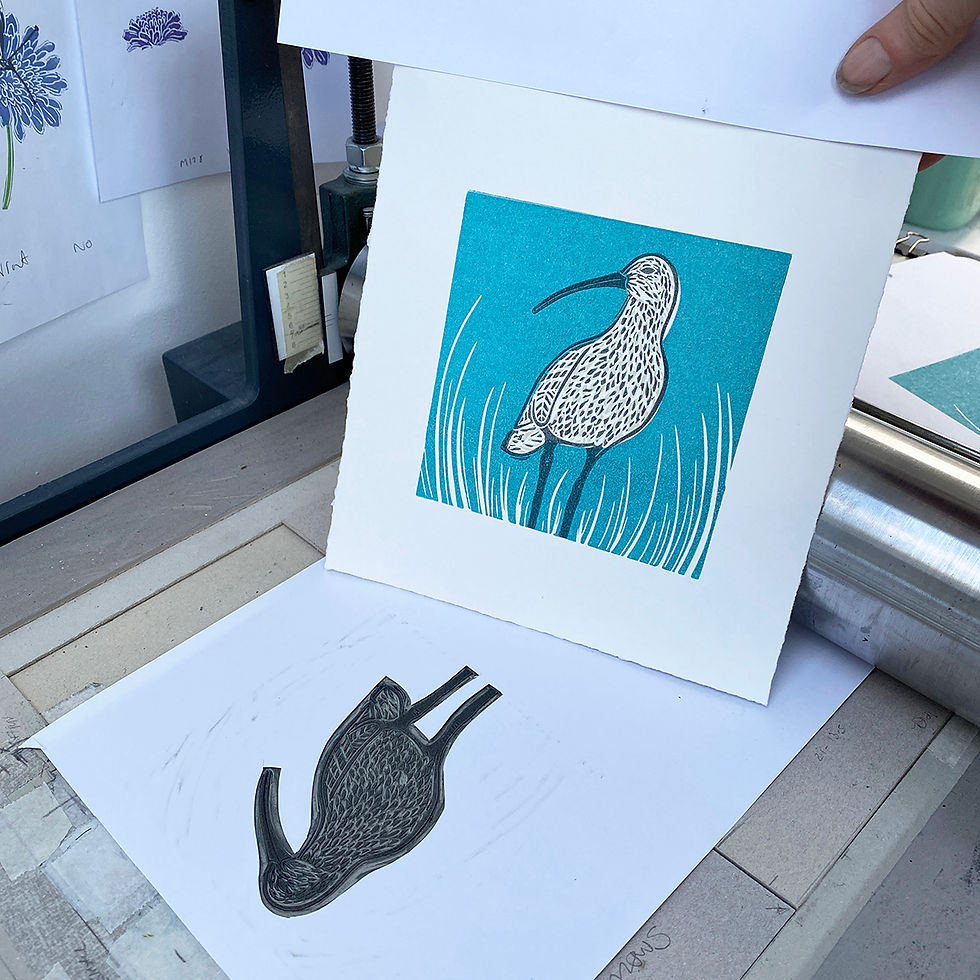 Thumbnail: Curlew original linocut print in teal blue