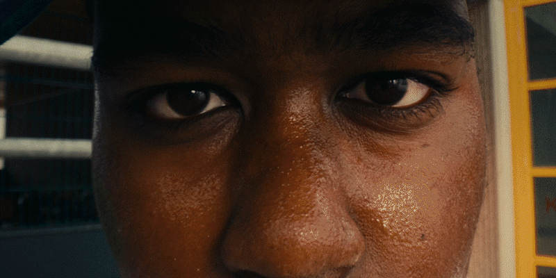 portfolio.gif