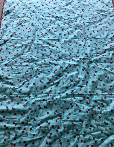 Ladybug, Ladybug