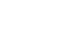 white logo.png