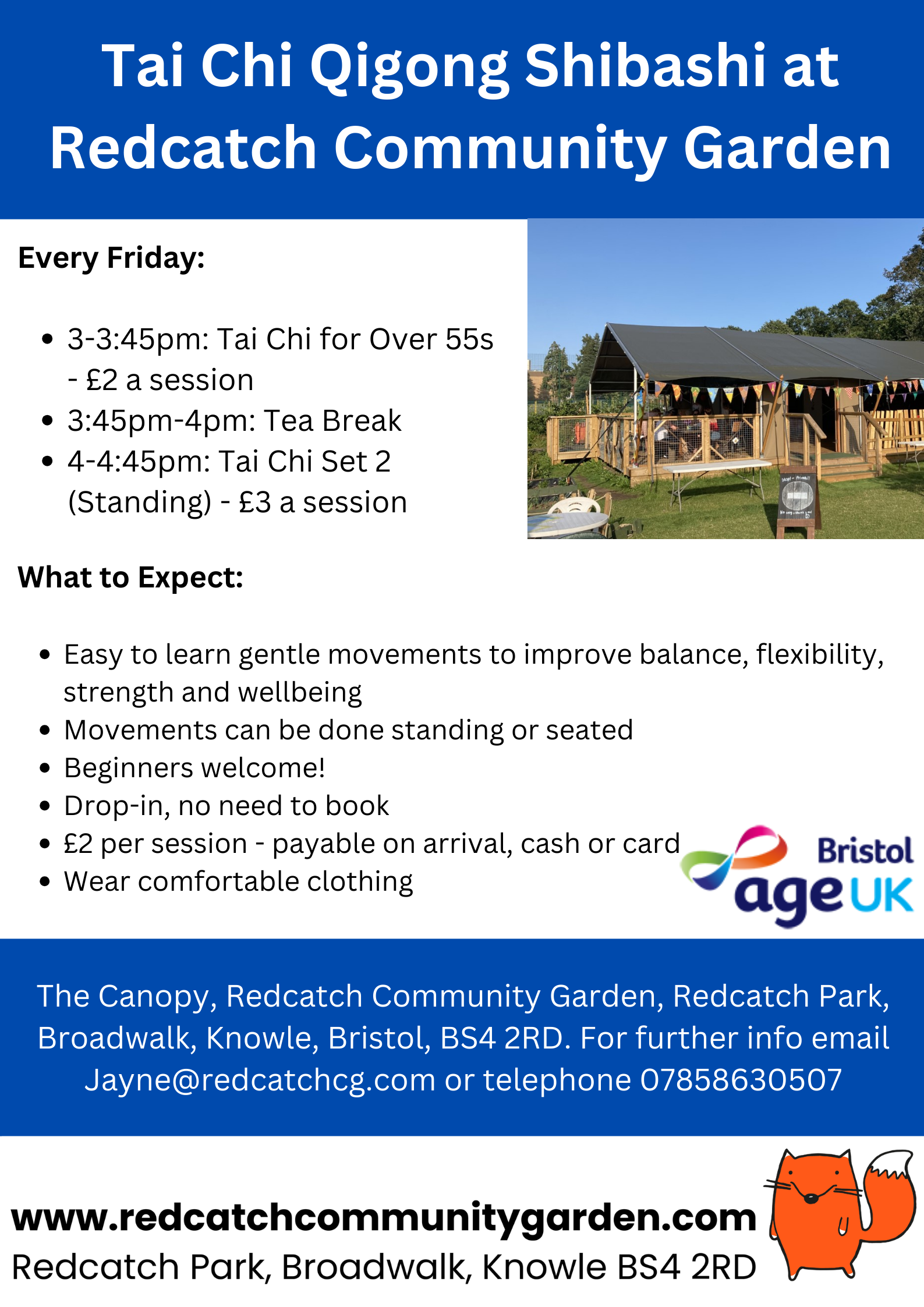 Tai Chi Qigong Shibashi for over 55's