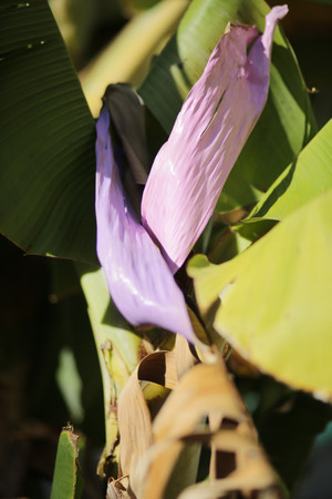 393a8870jpg