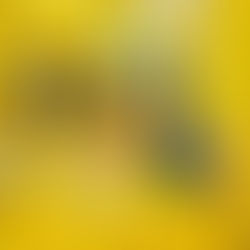 Five Small (and Surreal) Museums to Visit in Las Vegas