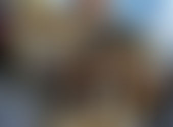 Opportunity: The Royal Honeymoon