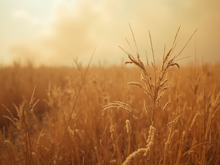 Essential Safety Tips for Wildland Fire Protection
