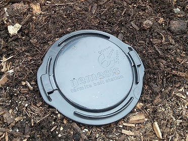 Termite bait station