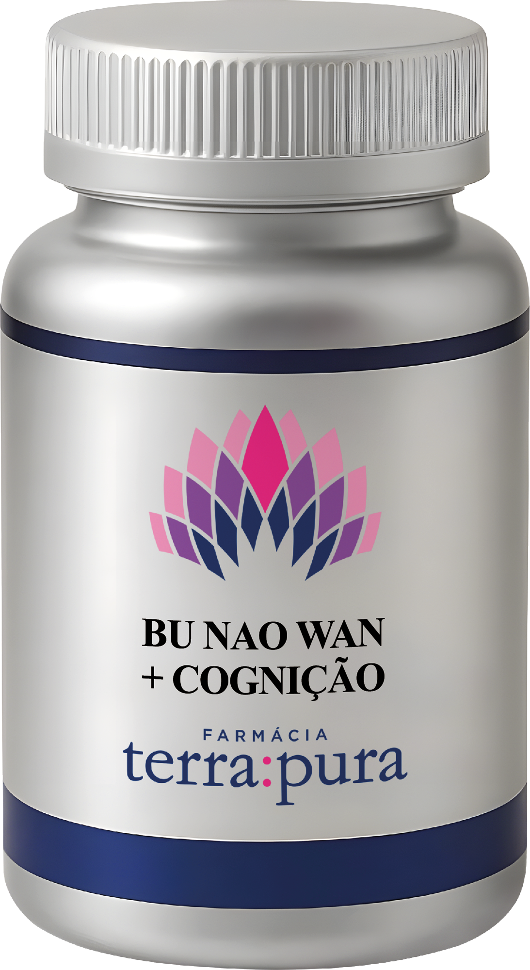 TP506  BU NAO WAN + COGNIÇÃO