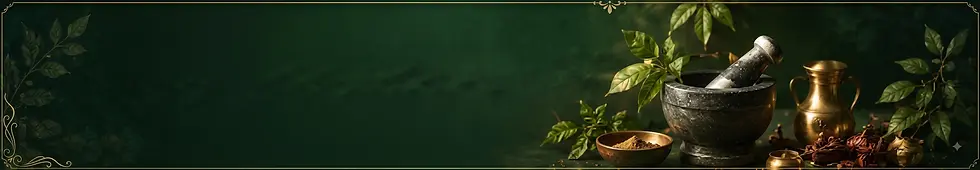 Terra Pura .webp