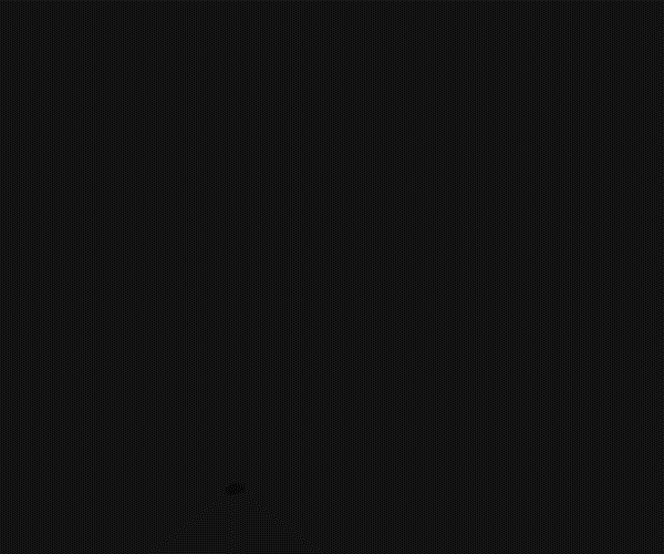 600x500-Slideshow-RAW.gif