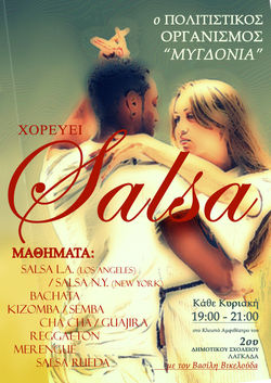 Salsa Lessons 2014 - C.O.M Posterygdonia