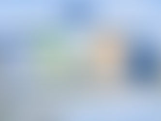 A clear visual timeline of the key milestones of applying to study abroad in an Irish high school