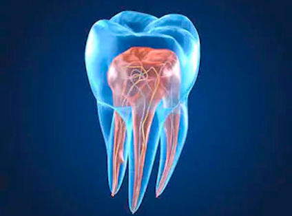 endodontia.jpg