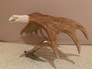 IMG_1982.jpg
