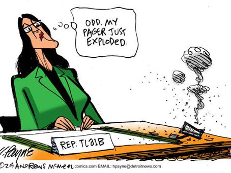 Конгрессменша-антисемитка взбеленилась из-за карикатуры с пейджером: “Мерзкий исламофобский мусор”