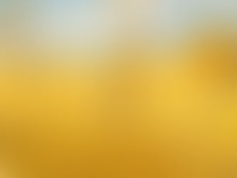 Почему погибли ученики рабби Акивы