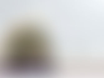 10 СЛОВ, КОТОРЫХ В РУССКОМ ЯЗЫКЕ НЕ СУЩЕСТВУЕТ, НО ЛЮДИ ЧАСТО ИХ ИСПОЛЬЗУЮТ 