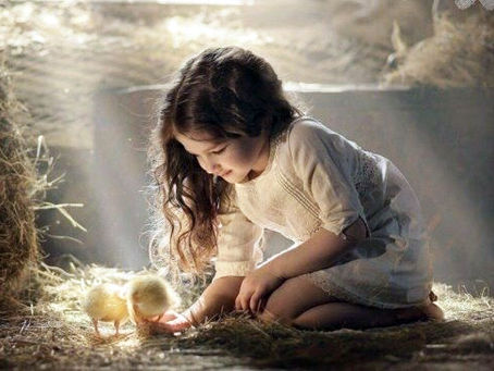 Милосердие