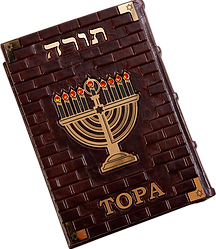 Тора Оптимал.png