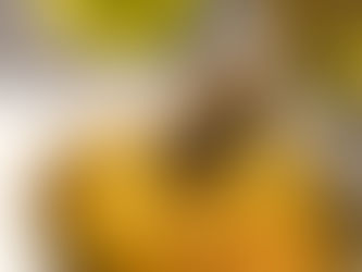 МОЖНО ЛИ ЗАМЕНИТЬ САХАР МЕДОМ?