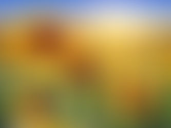 ВЫ ВСЕ ПРИНИМАЕТЕ ВИТАМИН С, НО НИКТО НЕ СЛЫШАЛ О ВИТАМИНЕ F, А ОН БЕРЕЖЕТ СЕРДЦЕ, УКРЕПЛЯЕТ ИММУНИТЕТ — И ВОТ ГДЕ ЭТОТ ВИТАМИН СКРЫВАЕТСЯ